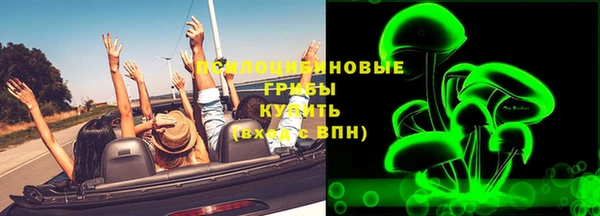 эйфоретик Аркадак