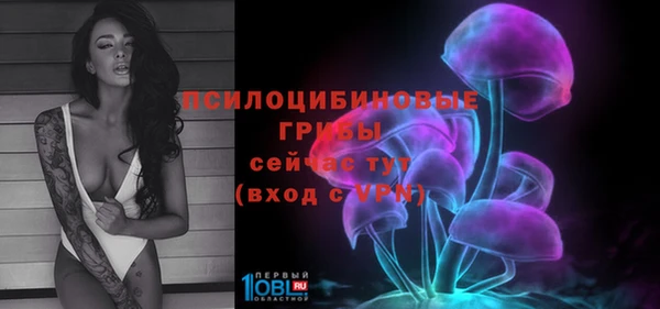 apvp Армянск
