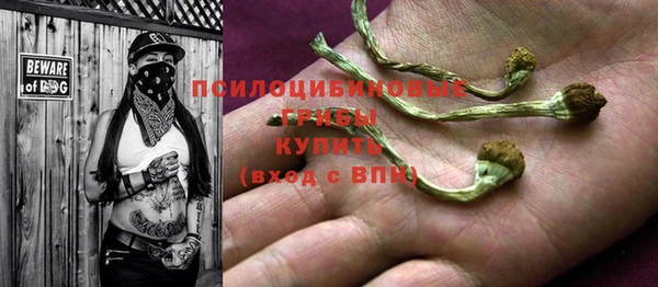 эйфоретик Аркадак