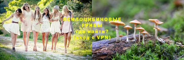 мяу мяу мука Арсеньев