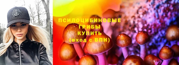 мяу мяу мука Арсеньев