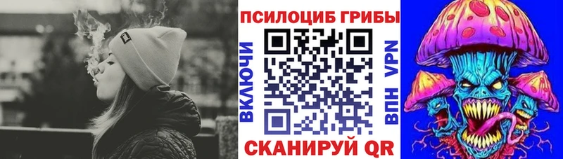 Псилоцибиновые грибы Cubensis  Судогда 